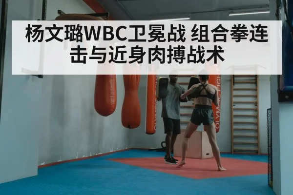 杨文璐WBC卫冕战 组合拳连击与近身肉搏战术